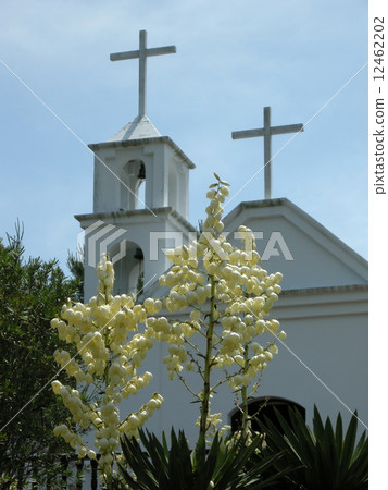 絲蘭和教堂 絲蘭和教堂 12462202