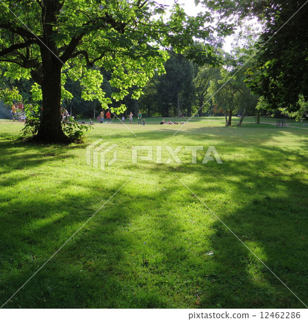假日公園 12462286