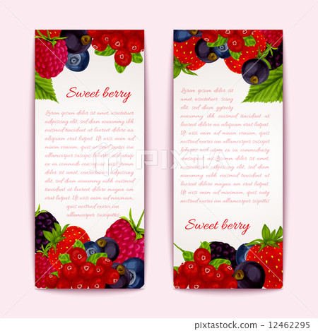 Berries banners vertical 12462295