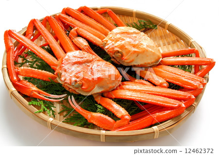 雪螃蟹食物材料白色背景 12462372