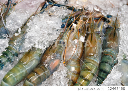 Many Black tiger prawn freeze with ice. 12462468