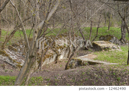 Remains of Adolf Hitler residence Werwolf Remains of Adolf Hitler residence Werwolf 12462490