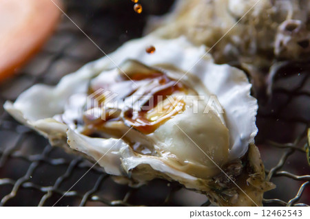 Grilled oysters 12462543