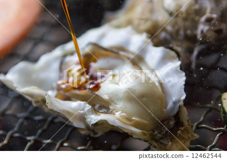 Grilled oysters Grilled oysters 12462544