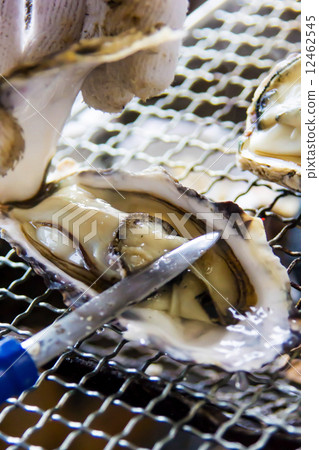 Grilled oysters Grilled oysters 12462545