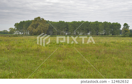 Tuscany wild landscape, Italy 12462632