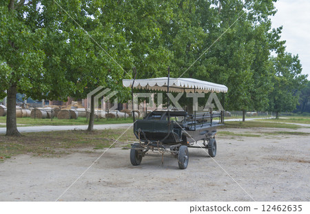 not drawn black carriage on a Tuscan farmhouse 12462635