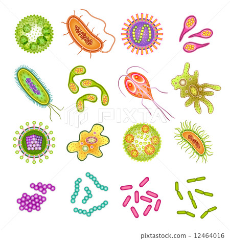 Bacteria and virus cells 12464016