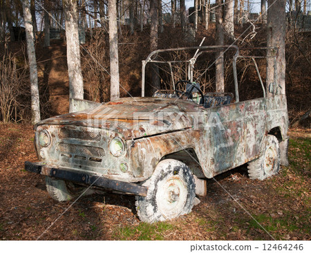 Car on painball field 12464246
