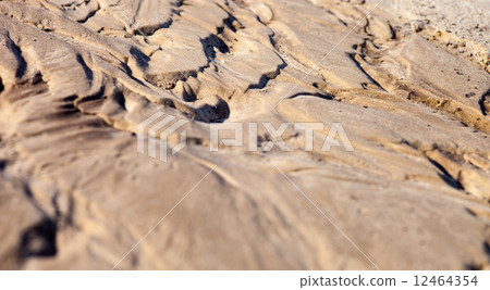 Sand surface with the relief formed by water currents 12464354