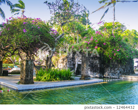 Pool on Bali Pool on Bali 12464432
