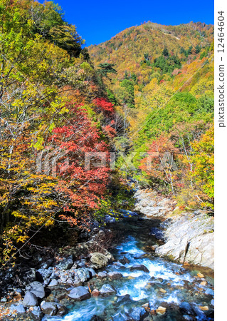 Terracotta red leaves 2014 - 7 Terracotta red leaves 2014 - 7 12464604
