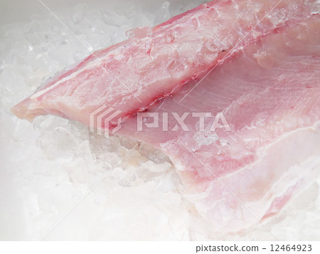 Hiramasa Hiramasa 12464923