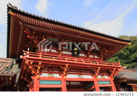 鶴岡八幡宮 12465233