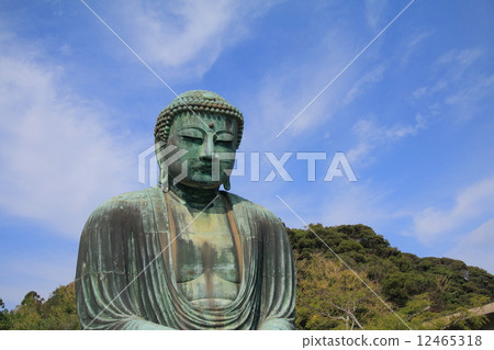 鎌倉大佛 鎌倉大佛 12465318