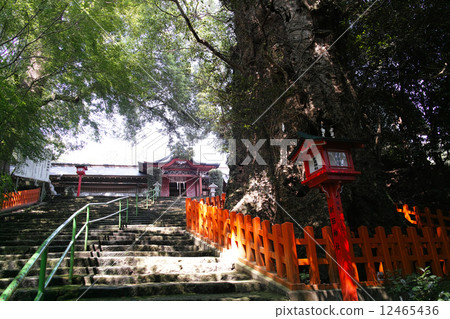 Kagoshima prefecture · Nitta shrine 12465436