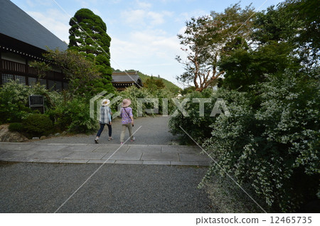 Akiruno in autumn of the great temple temple Akiruno in autumn of the great temple temple 12465735