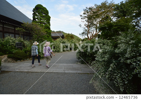 Akiruno in autumn of the great temple temple Akiruno in autumn of the great temple temple 12465736