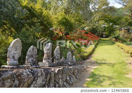 Autumn of the Lukoin collection is Akiruno 12465868