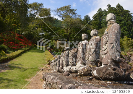 Autumn of the Lukoin collection is Akiruno 12465869