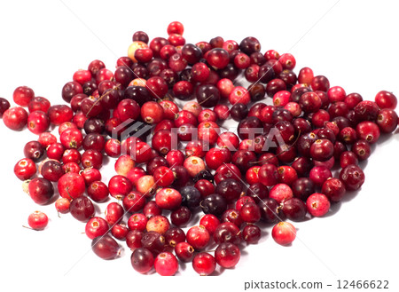 cranberries, berries cranberries, berries 12466622
