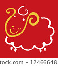 sheep 12466648