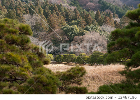 Shugakuin Rijyo country view Shugakuin Rijyo country view 12467186