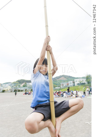 Bamboo climbing Bamboo climbing 12467342