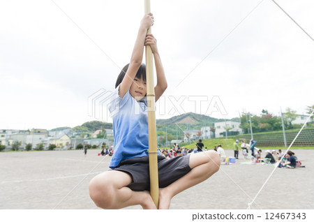 Bamboo climbing Bamboo climbing 12467343