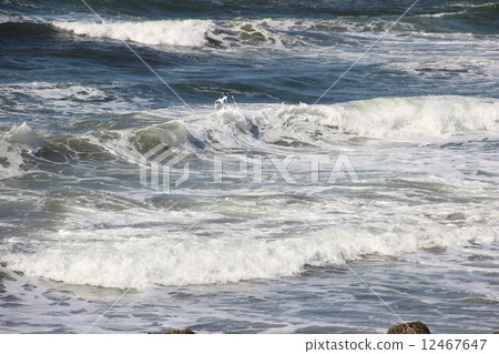 White waves in the Japan Sea 12467647