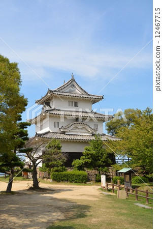 Marugame城堡在早期的秋天 Marugame城堡在早期的秋天 12467715