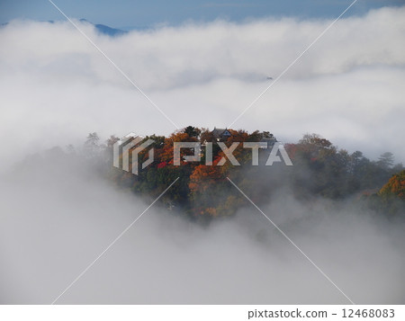 秋葉松山城堡漂浮在雲彩海 12468083