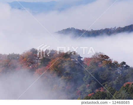秋葉松山城堡漂浮在雲彩海 12468085