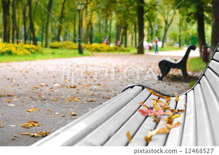Bench 12468527