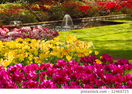 Fountain in the Keukenhof park Fountain in the Keukenhof park 12468725