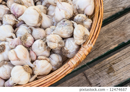 Garlic. 12474687