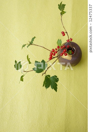 為了生活Yabusanzashi的果實 12475337