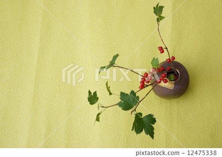 為了生活Yabusanzashi的果實 12475338