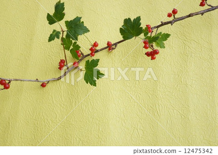 Bright red sea bream fruit Bright red sea bream fruit 12475342