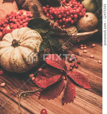 Thanksgiving day autumnal still life 12475505