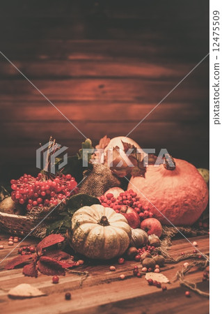 Thanksgiving day autumnal still life Thanksgiving day autumnal still life 12475509