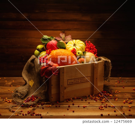 Thanksgiving day autumnal still life 12475669