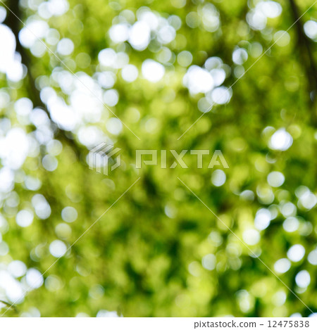 abstract green natural light bokeh background 12475838