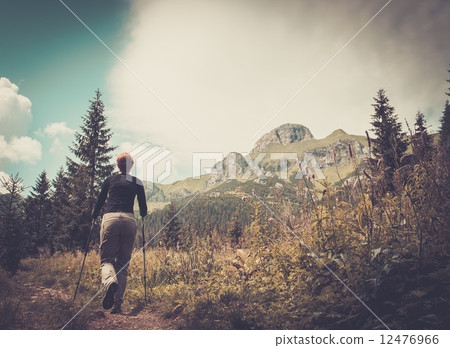 Woman with hiking poles walking in mountain landscape 12476966