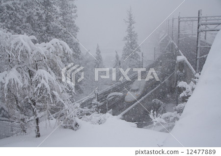 Joetsu Shinkansen E4 Series (old paint) arriving at the snowstorm Gala Yuzawa Joetsu Shinkansen E4 Series (old paint) arriving at the snowstorm Gala Yuzawa 12477889