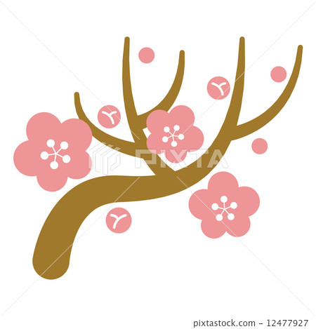 plum plum 12477927