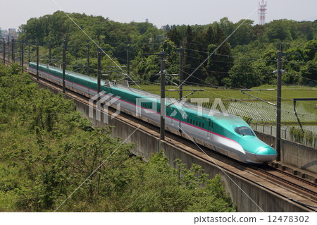 Tohoku Shinkansen E5 series (Hayabusa) Tohoku Shinkansen E5 series (Hayabusa) 12478302