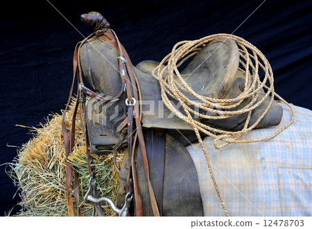 Western gear. 12478703