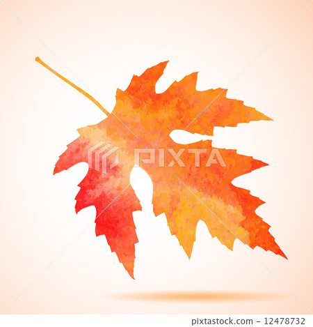 Orange watercolor maple leaf 12478732