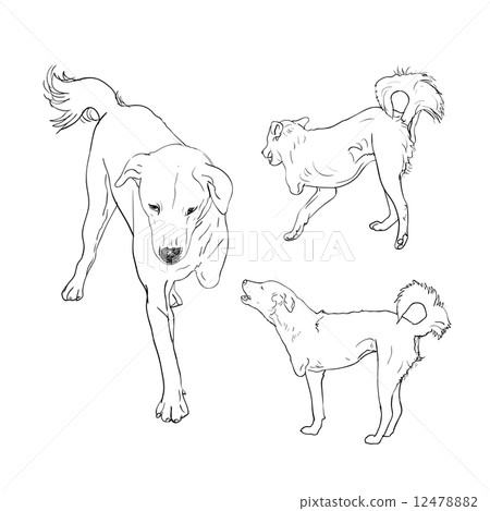 Handicapped dog Handicapped dog 12478882